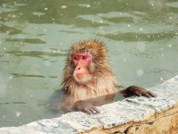 休業日のご案内