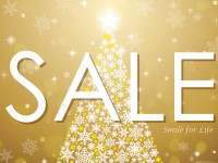 SFL楽天市場店ポイント５倍